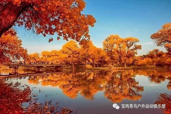 今天再看,它就是被严重低估的杰作